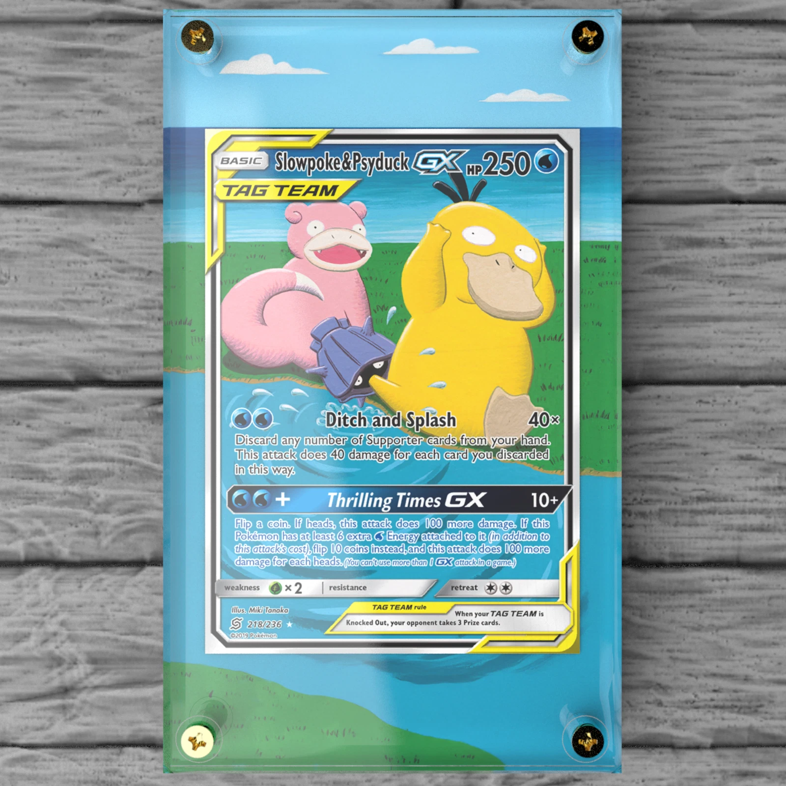 Pokeshield Display Image 1