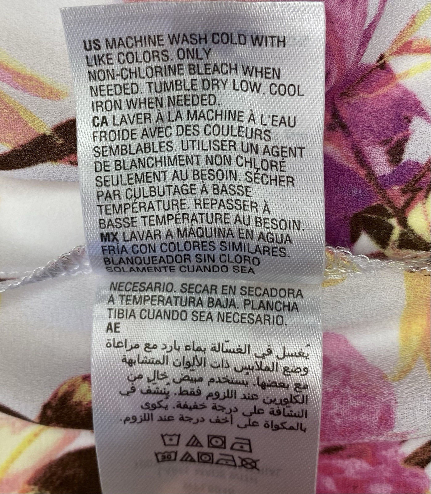 Foto 10 di 10