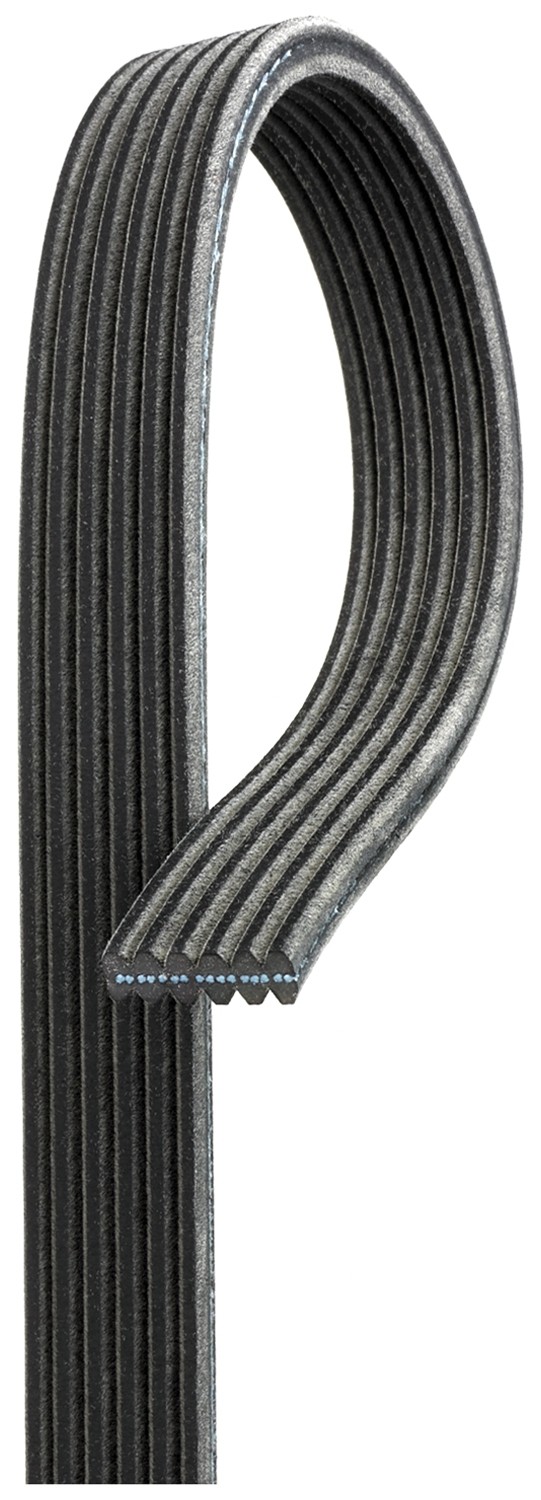 GATES-OE 6DPK1698 V-Ribbed Belt for BMW