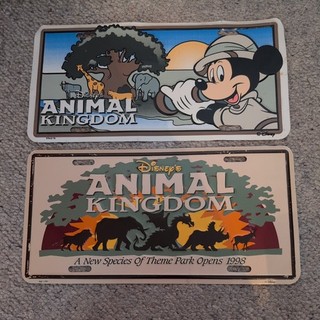 Disney's Animal Kingdom 2 license Plates from Florida