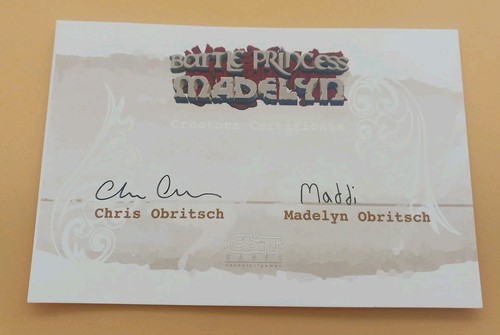 Battle Princess Madelyn PC Computerspiel physische Kopie nie gespielt RAR - Bild 8 von 13