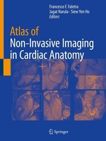 Atlas Of Non-Invasive Imaging In Cardiac Anatomy Jagat Narula