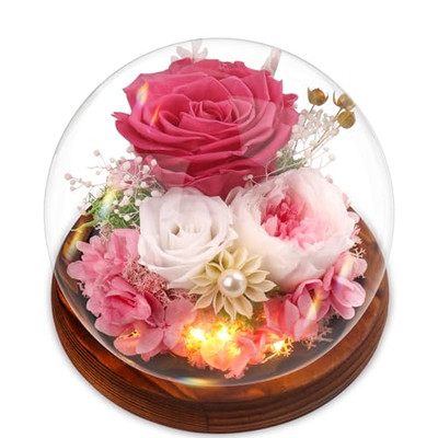 Geschenke für Mutter, konservierte ewige Rose in Glaskuppel, echte Blumen Geschenke für