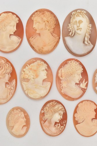 15pcs ASSORTED SHELL CAMEOS - Picture 3 of 5