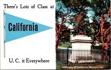 A Lot of Class at University California Berkeley Pennant Postcard