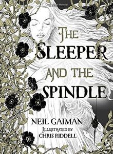 The Sleeper and the Spindle: WINNER OF THE CILIP KA... | Buch | Zustand sehr gut
