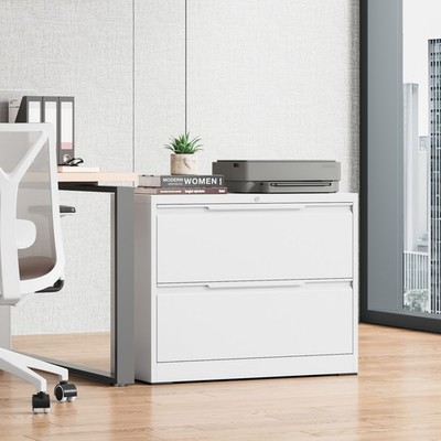 Lateral 2 Drawer File Cabinet Lockable Home Office Wide Storage Filing Organizer