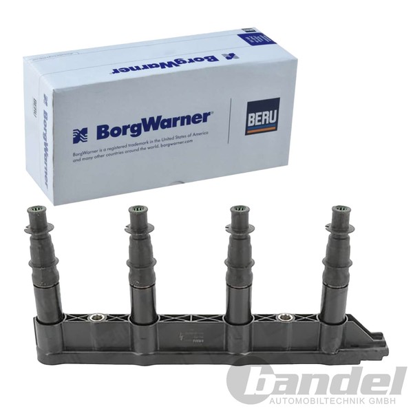 BorgWarner (Beru) ZÜNdspule ZÜNdmodul Passend FüR CitroËN C2 C3 C4 Peugeot 1007-image