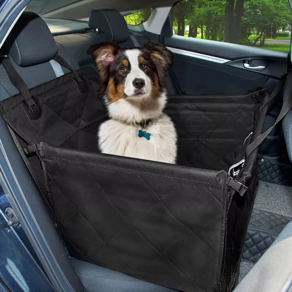 Dog front hotsell seat carrier