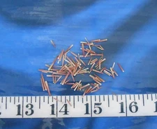 ~ Sea Urchin Spines ~100+ Dusty Rose ~1/8-1/2"~ Shellcraft~ Sailor's Valentines~