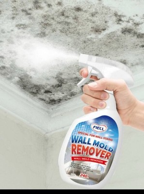 1 Bottle 240ml Wall Mold Remover, Anti-Mold, Removes Mold Stains And Mildew