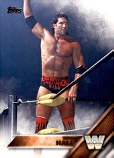 2016 Topps WWE Then Now Forever #91 Scott Hall