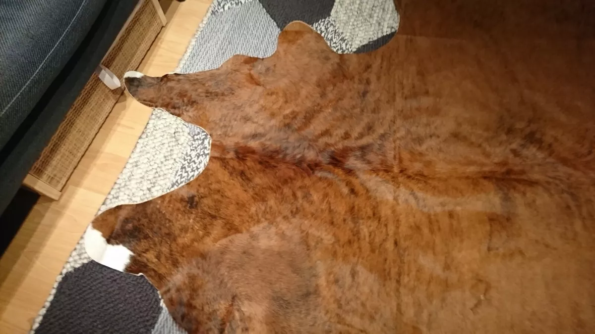 Cow skin rug sale ikea