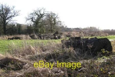Photo 6x4 Oak boles and standing oaks near Manor Fields Farm Stoneleigh  c2010