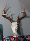 Picture 3 of 9
