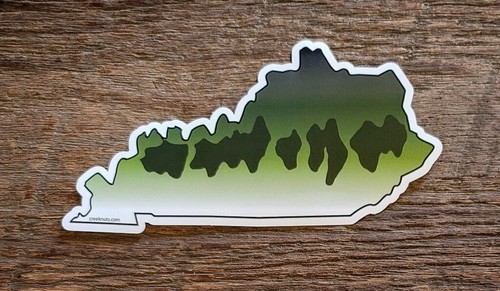 LARGEMOUTH BASS STATE stickers decals fishing MANY STATES fly fishing   - Picture 6 of 68