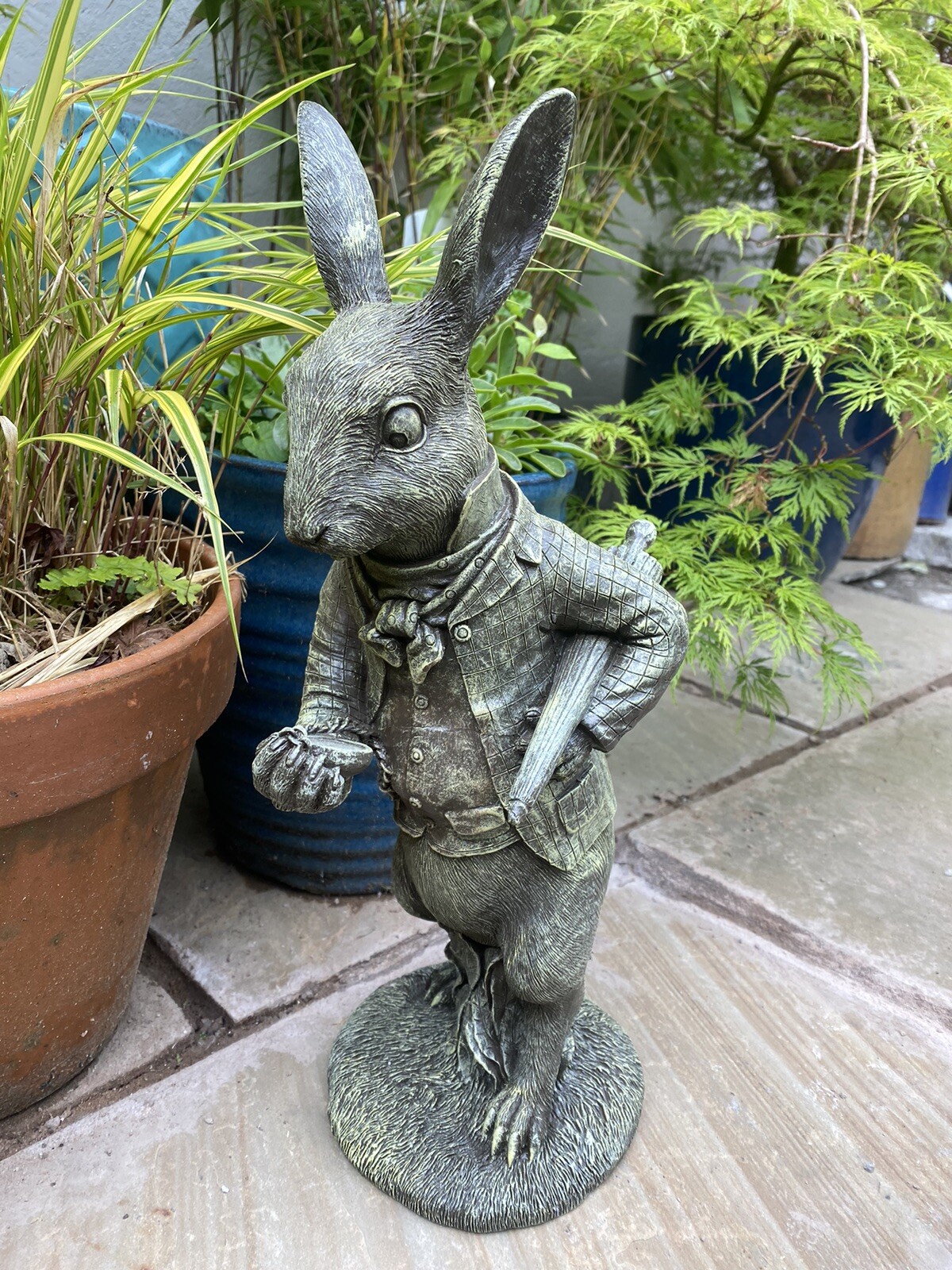 Picture 9 of 11