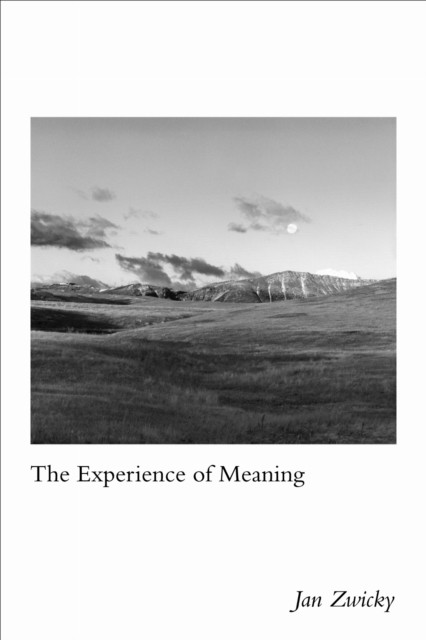 The Experience of Meaning by Jan Zwicky PAPERBACK 9780773557437