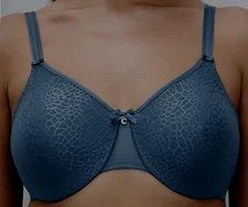 Chantelle Jeans Blue C Magnifique Molded Underwire Bra Style 1891 36 DDDD Nwt 78