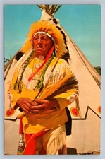 Postcard Native American Chief Native Plains-Style Dress Chrome Unposted  O955
