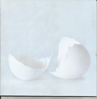 Wilco - A Ghost Is Born