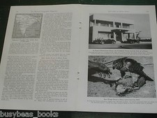 1942 the Maharaja, INDIA, magazine article mainly about Falconry,  sociology etc
