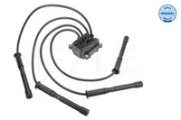Meyle ZüNdspule 16-14 885 0004 FüR Dacia Renault Logan Thalia Clio Sandero Modus