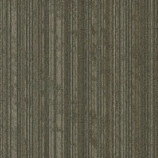 Shaw 54919 Philadelphia Commercial Sort 24" x 24" Glue Down - Twist