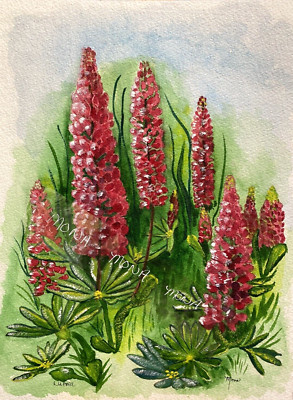 LUPINE FLOWERS ~ WATERCOLOR ~ HAND PAINTED,  ART BY MONA  ~ 9'' X 12''