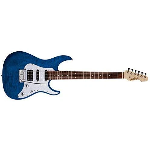GrassRoots G-SN-CTM See Thru Blue Electric Guitar with Case EMS w/ Tracking NEW