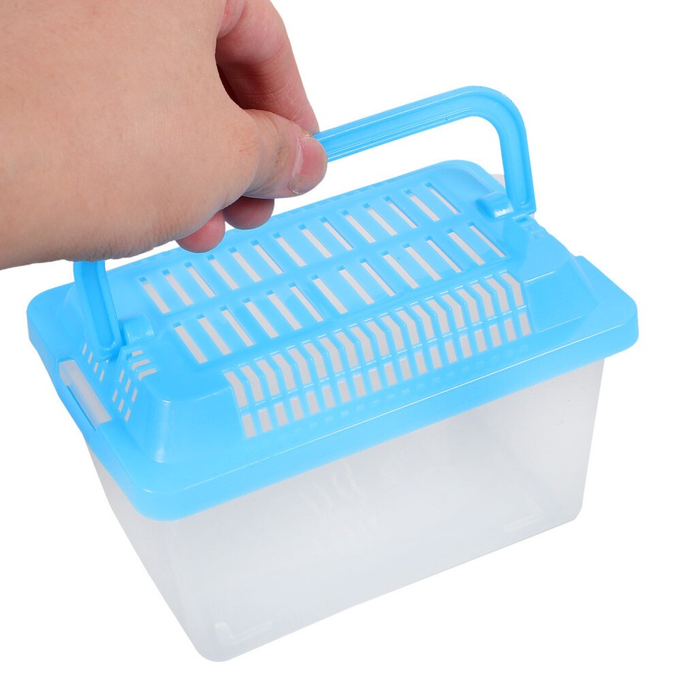 Small Plastic Reptile Terrarium Fish Tank for Travel Critter Turtle