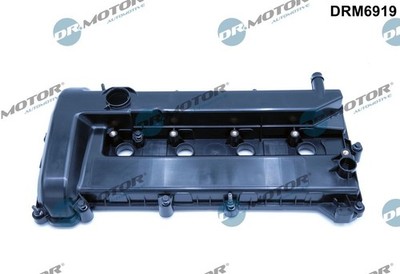 Dr.Motor Automotive DRM6919 Zylinderkopfhaube for FORD VOLVO