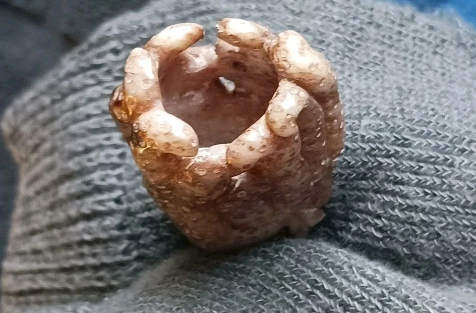 VINTAGE ● JADE CHINÊS ● DESCONHECIDO NÃO ASSINADO ● PINGENTE ● FIGURA DE CABAÇA ● LINDA ● - Imagem 3 de 4