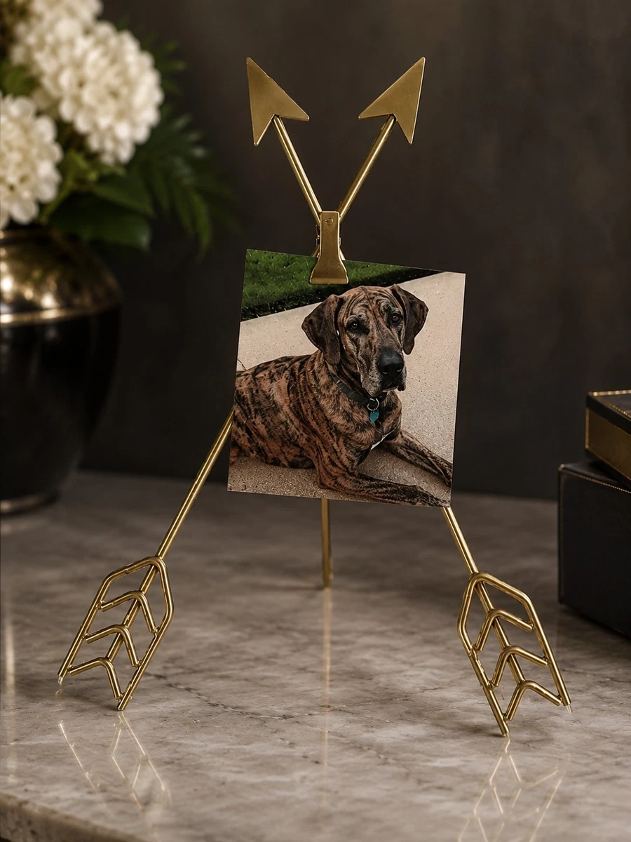 Vintage/Retro Photo Holders for sale - eBay