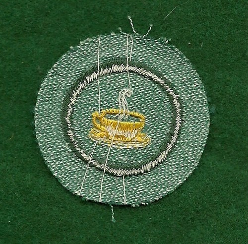 VINTAGE GIRL SCOUT BADGE - BRIGHT MEDIUM GREEN - HOSTESS - Picture 2 of 2