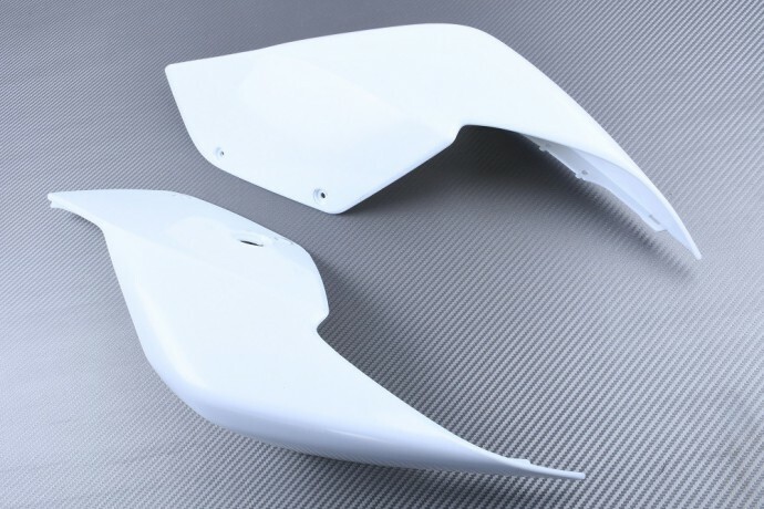 Carénage arrière pour Ducati Panigale 1299 en ABS brut à peindre