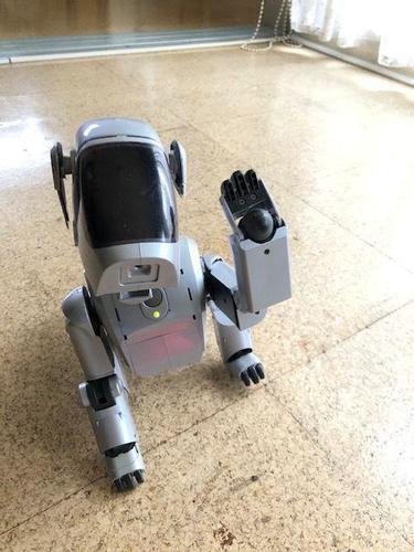 Sony Aibo ERS-111 Dog-Shaped Virtual Pet Robot Japanese
