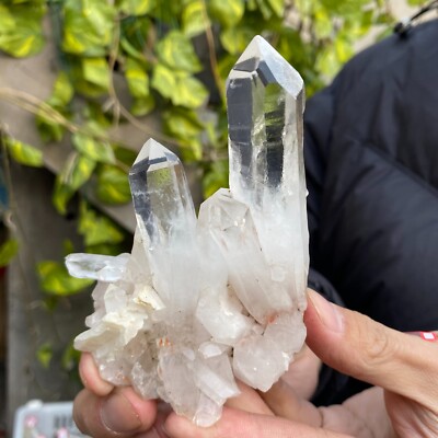 185g Natural White Clear Quartz Crystal Cluster Raw Healing