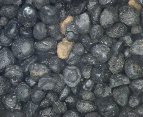 Cretaceous KT Boundary 10 MICROTEKTITE Hell Creek impact spherules spheroids sld