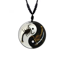 Yin Yang Scorpion Necklace taxidermy goth punk occult buddhism