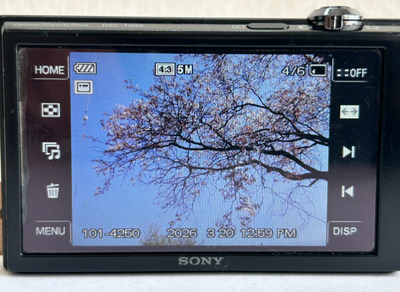 Sony Cyber-Shot DSC-T900 Black 12.1MP 4x Zoom Digital Camera