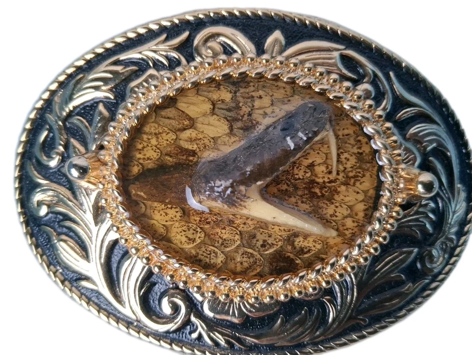 Snake Head Belt Buckle!  (Rare Taxidermy) - Image 4 of 4