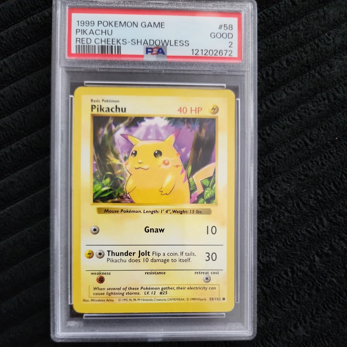 Wizards of the Coast Pikachu Pokémon TCG Professional Sports