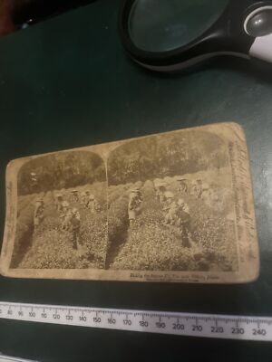 Stereo Foto 1896 - UJI TEA NEAR TOKYO, JAPAN - STROHMEYER&WYMAN 1896