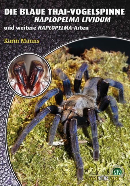 Thumbnail - Die Blaue Thai-vogelspinne Karin Manns