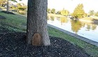 Picture 4 of 4