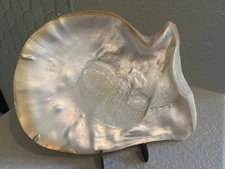 MOTHER OF PEARL SEA SHELL  DISH  TRAY PLATE COMPOTE SOAP DISH JEWELRY HOLDER VTG