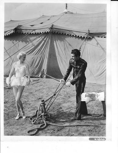 John McGuire Shirley Deane busty leggy VINTAGE Photo - Picture 1 of 2