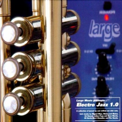 Large Music pres. Electro Jazz 1.0 (2002) Miguel Migs, DJ Rasoul, Dennis .. [CD]