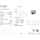 Imagen 3 de 4